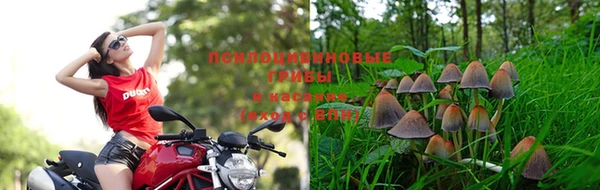 MESCALINE Аркадак