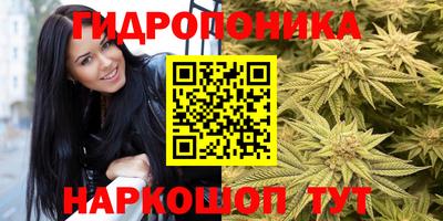гашик Нальчик