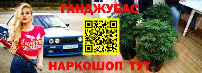 гашик Нальчик