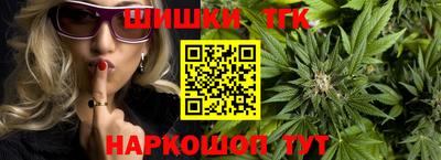 гашик Нальчик