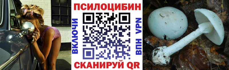 купить наркотики сайты  Фролово  Галлюциногенные грибы MAGIC MUSHROOMS 